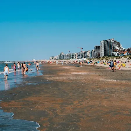 Beautiful In The Center Of De Panne