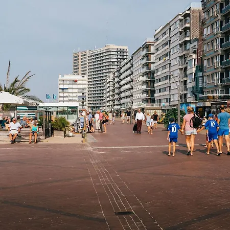 Beautiful In The Center Of De Panne